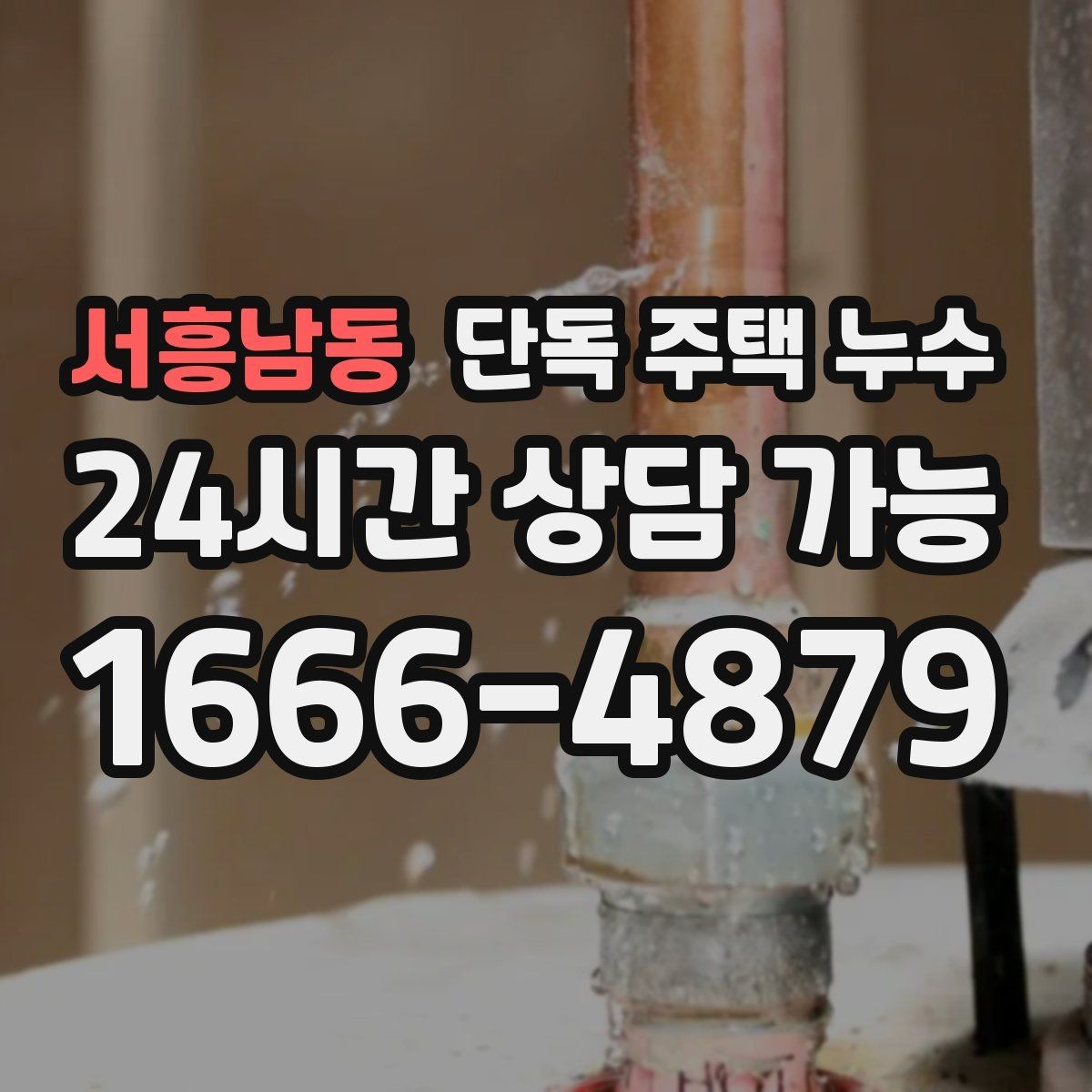 서흥남동 단독 주택 누수 담장 쪽 물고임이 벽으로 스며드는 경우