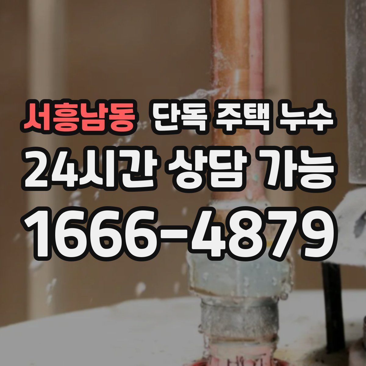 서흥남동 단독 주택 누수