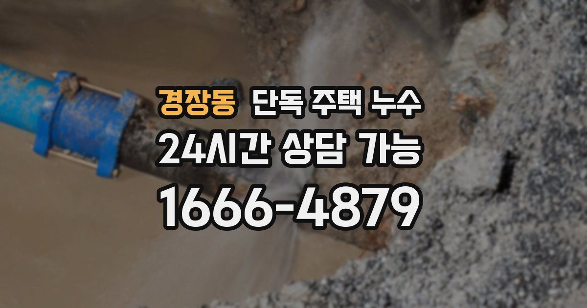 경장동 단독 주택 누수
