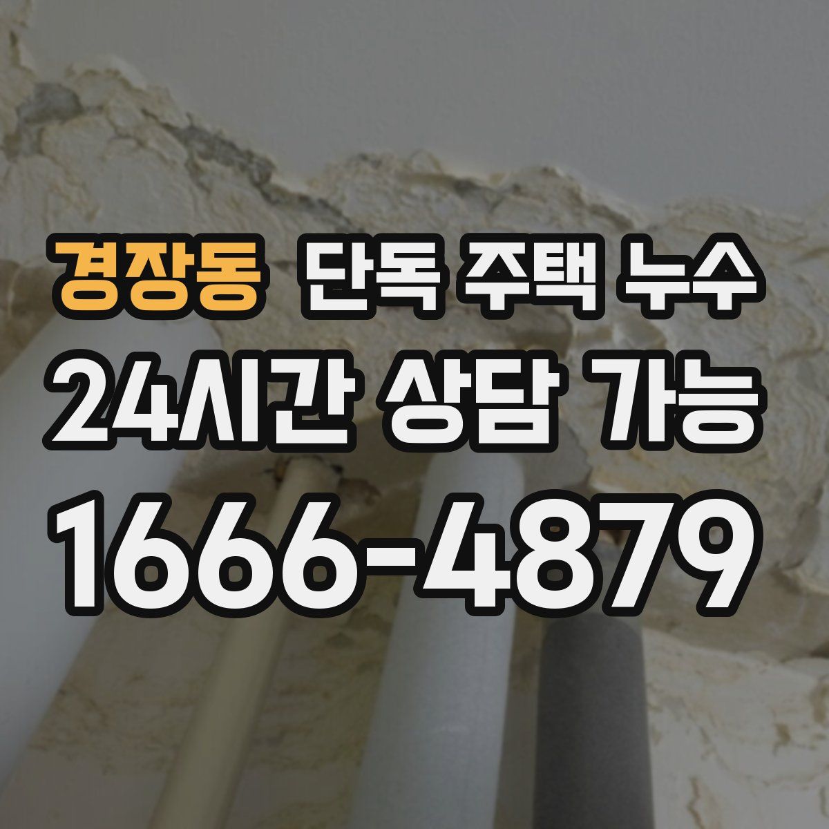 경장동 단독 주택 누수