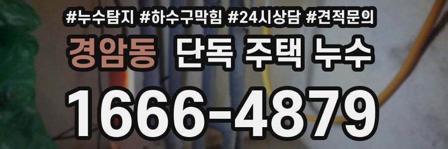 경암동 단독 주택 누수