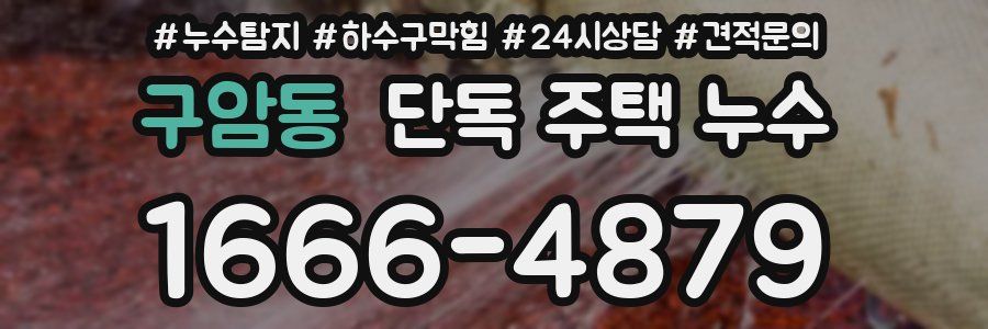 구암동 단독 주택 누수