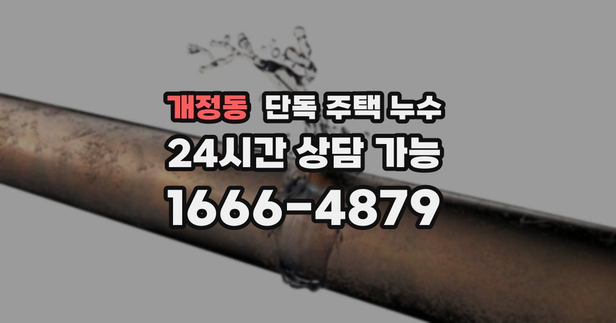 개정동 단독 주택 누수