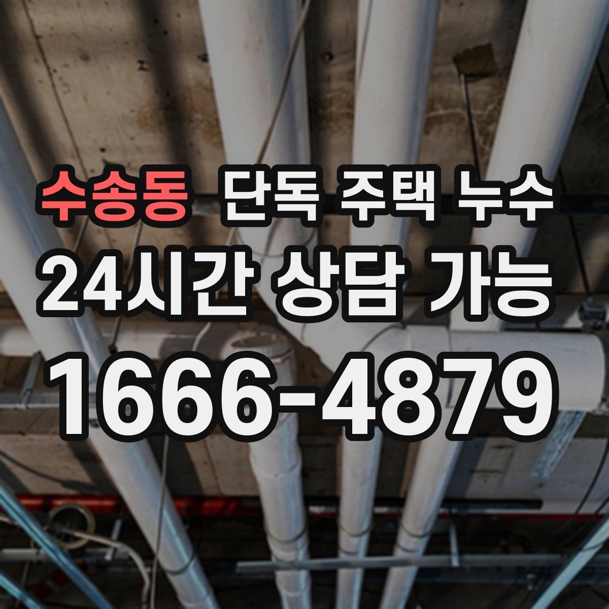 수송동 단독 주택 누수 벽지 속에서 젖은 냄새가 날 때