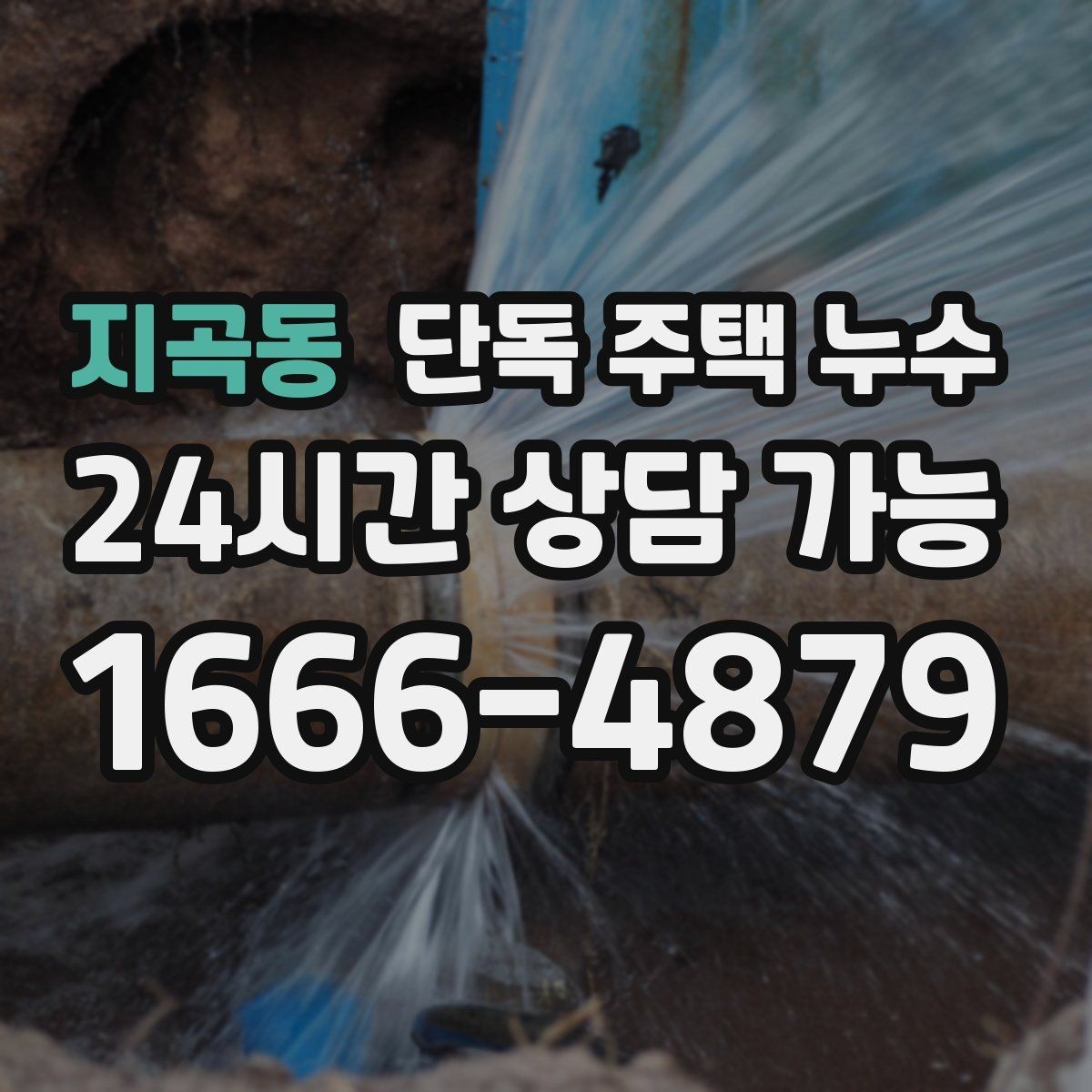 지곡동 단독 주택 누수 창가 바닥이 젖으면 가장 먼저 볼 곳
