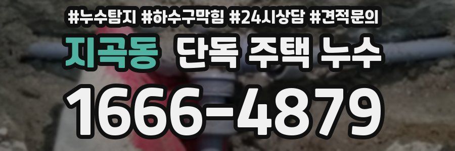 지곡동 단독 주택 누수