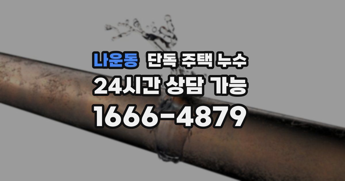 나운동 단독 주택 누수