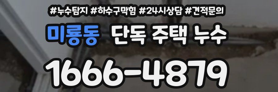 미룡동 단독 주택 누수