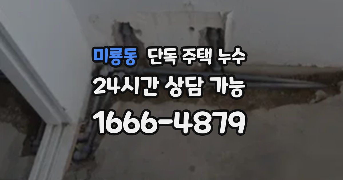 미룡동 단독 주택 누수