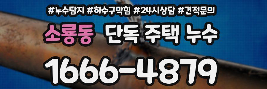 소룡동 단독 주택 누수