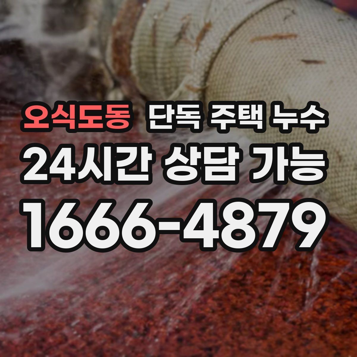 오식도동 단독 주택 누수 처마 끝에서 물이 타고 들어올 때
