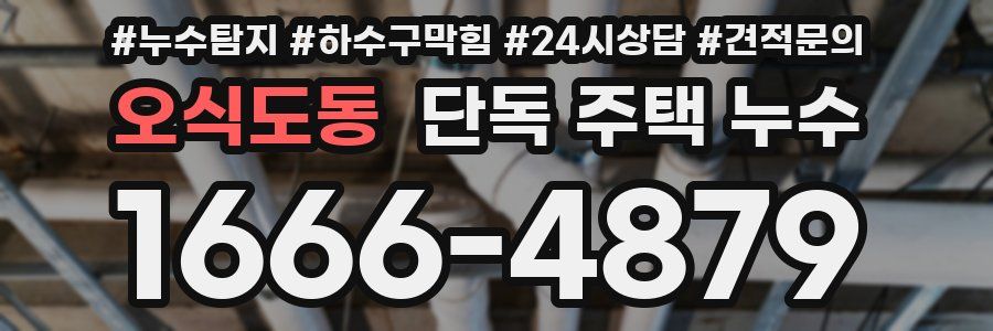 오식도동 단독 주택 누수