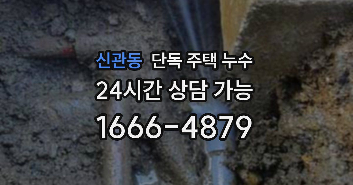 신관동 단독 주택 누수