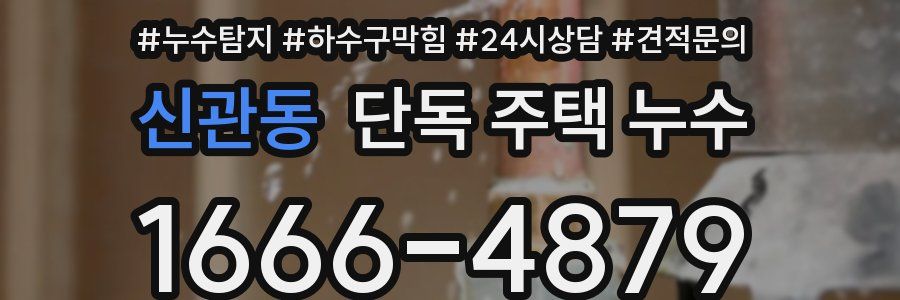 신관동 단독 주택 누수
