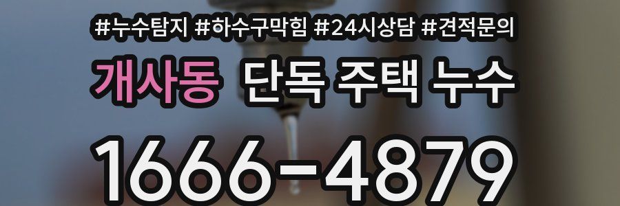 개사동 단독 주택 누수