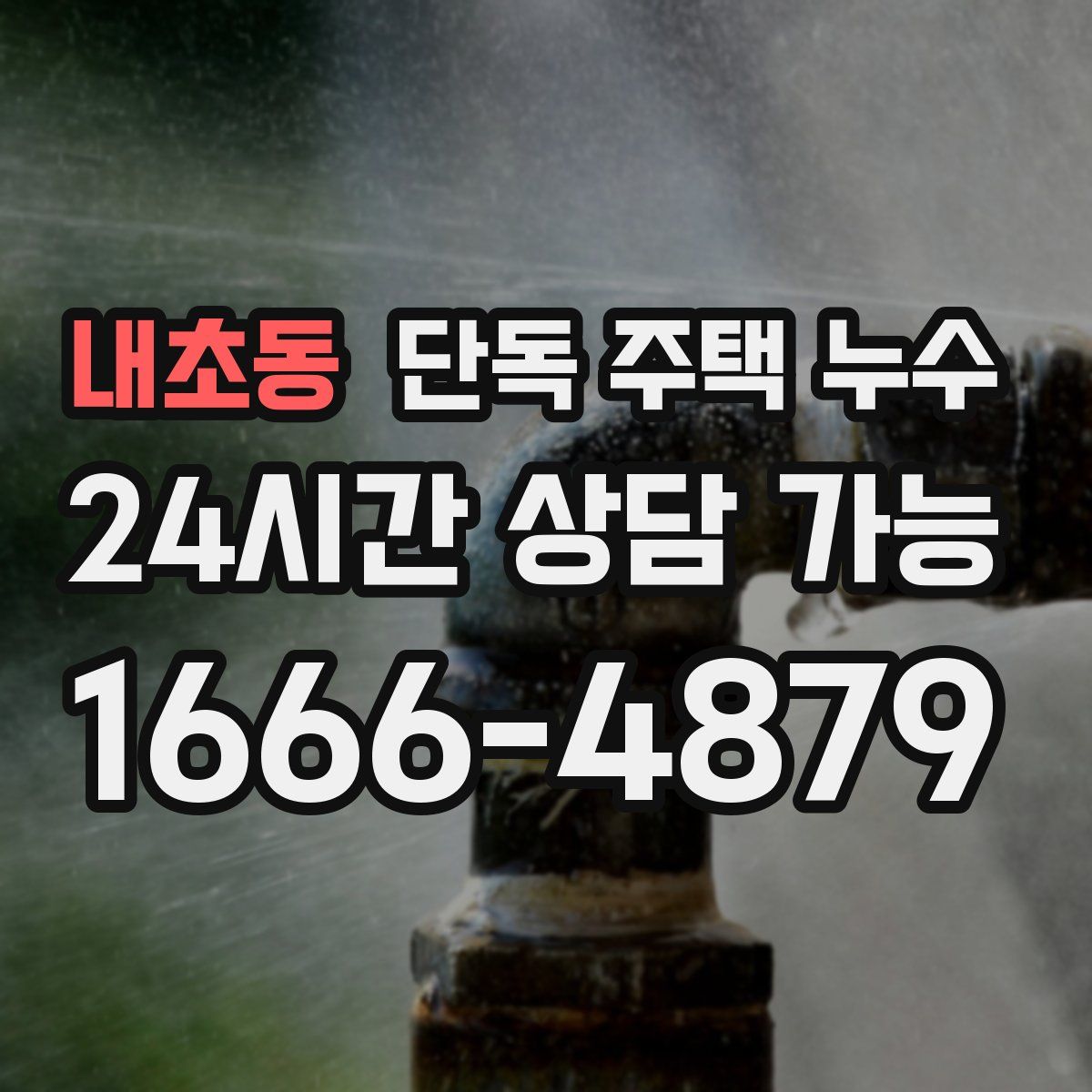 내초동 단독 주택 누수