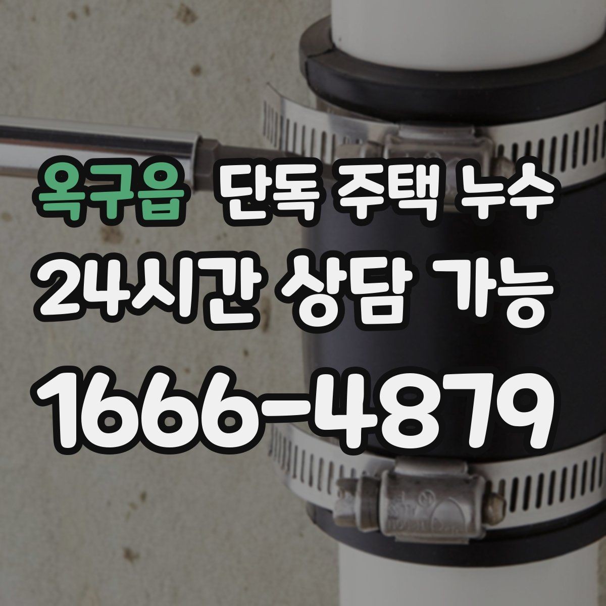 옥구읍 단독 주택 누수 샤워부스 하부에서 물이 스며들 때