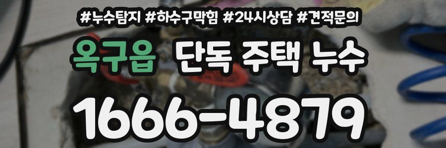 옥구읍 단독 주택 누수