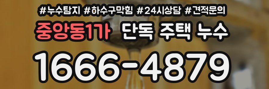 중앙동1가 단독 주택 누수