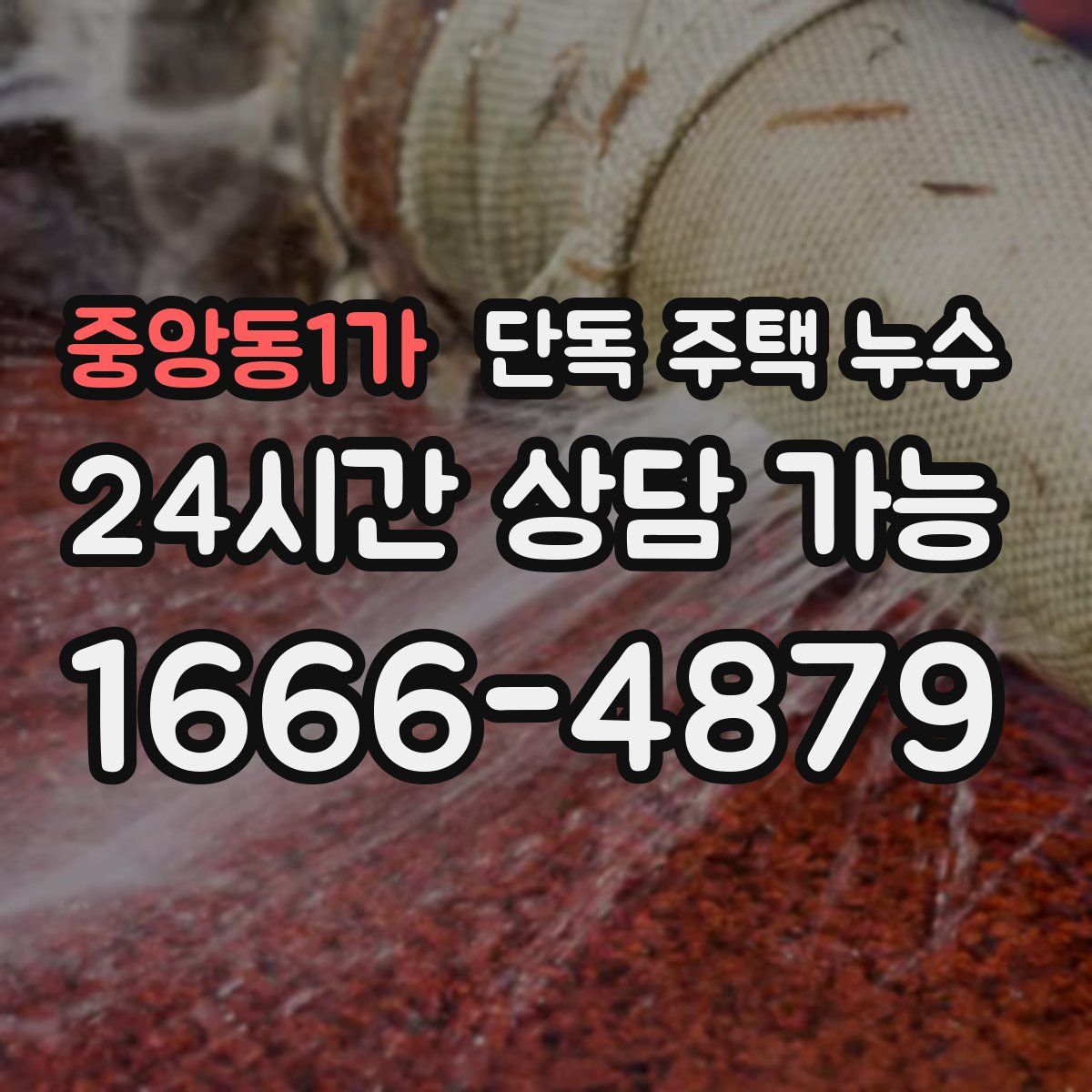 중앙동1가 단독 주택 누수