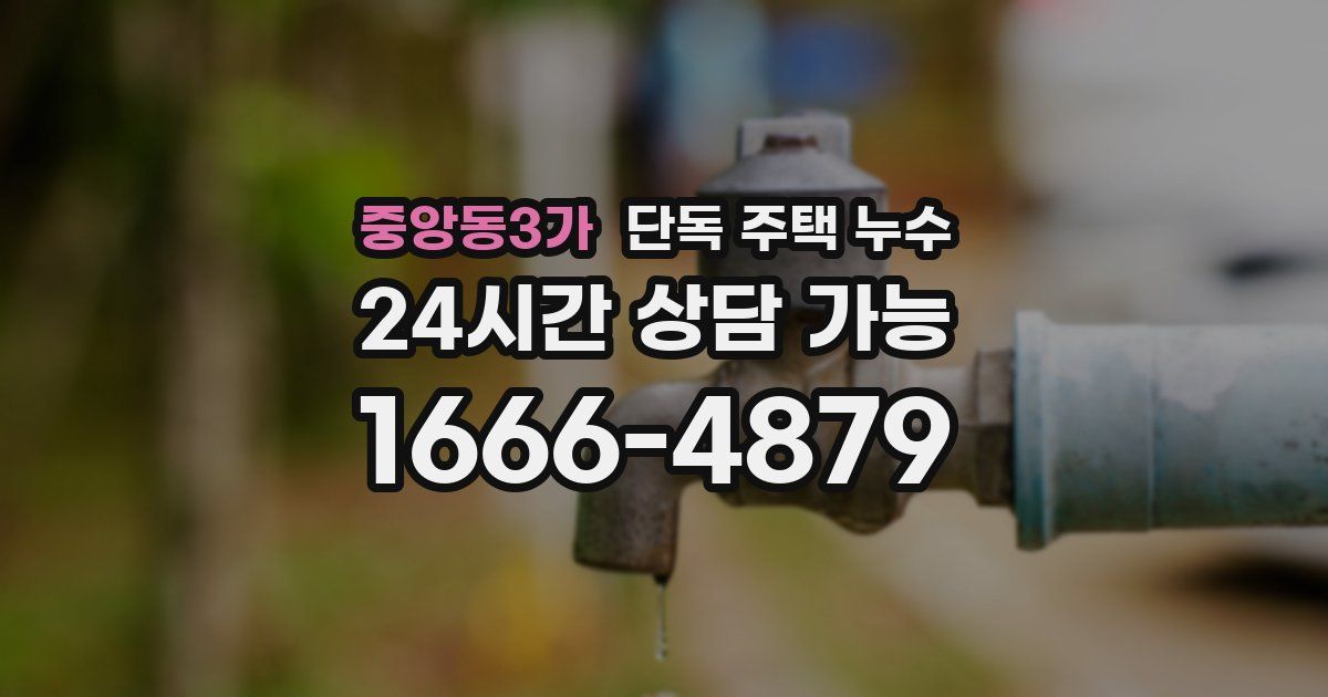 중앙동3가 단독 주택 누수