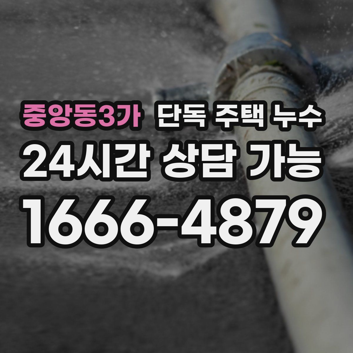 중앙동3가 단독 주택 누수