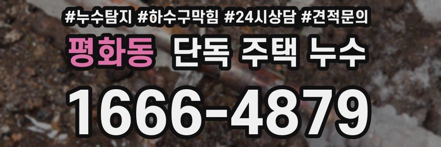 평화동 단독 주택 누수