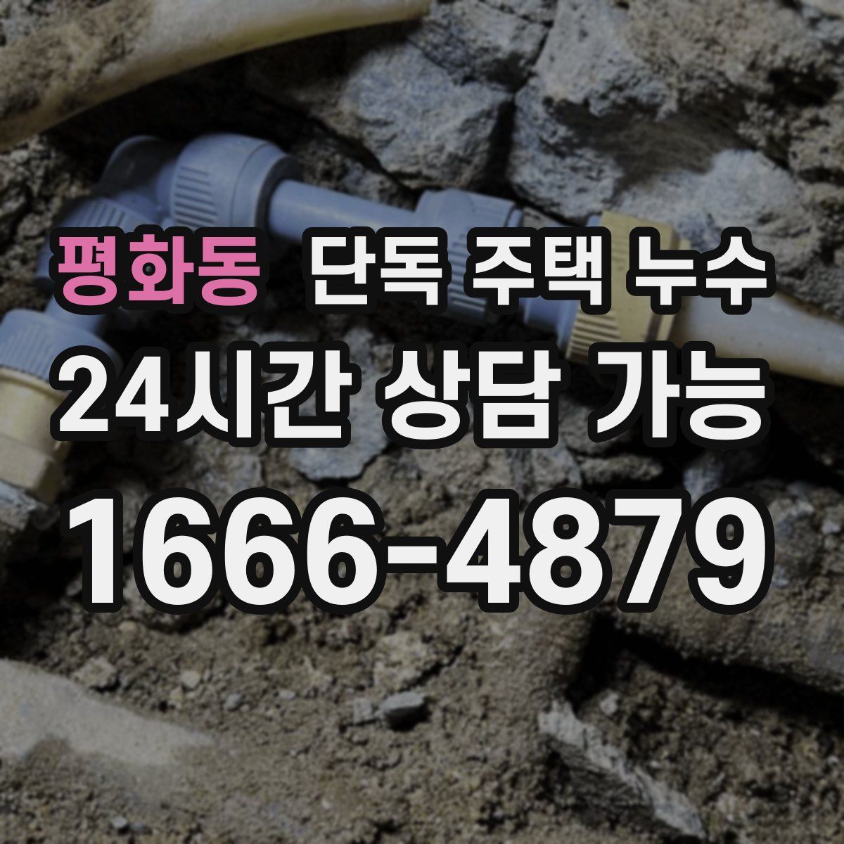 평화동 단독 주택 누수