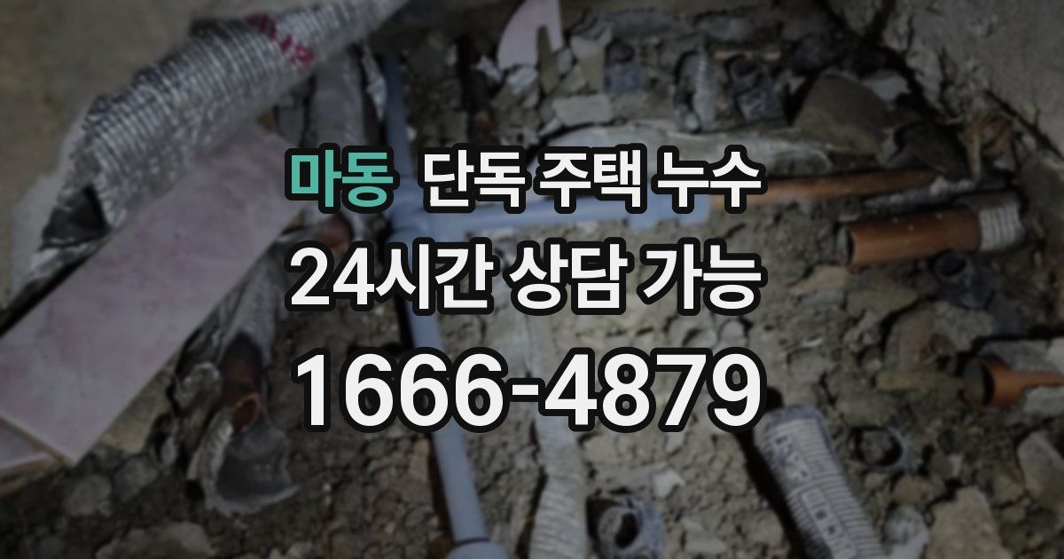 마동 단독 주택 누수