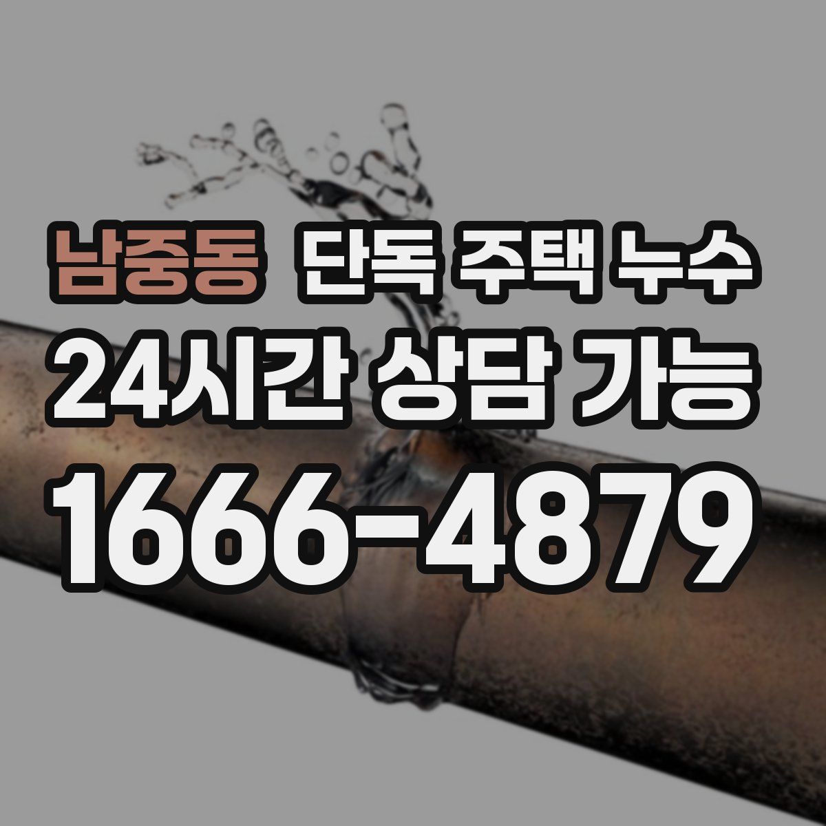남중동 단독 주택 누수
