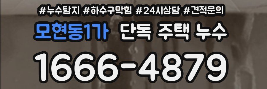 모현동1가 단독 주택 누수