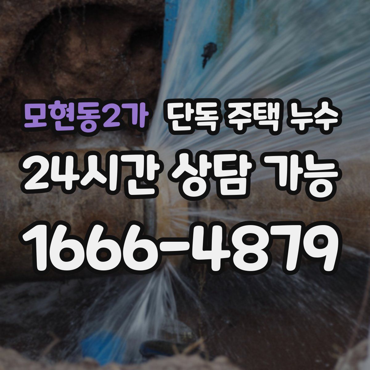 모현동2가 단독 주택 누수