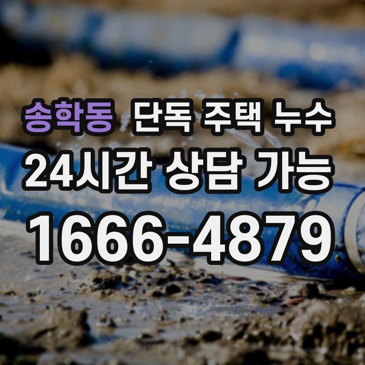 송학동 단독 주택 누수 문틀 하단이 젖는다면 의심할 것