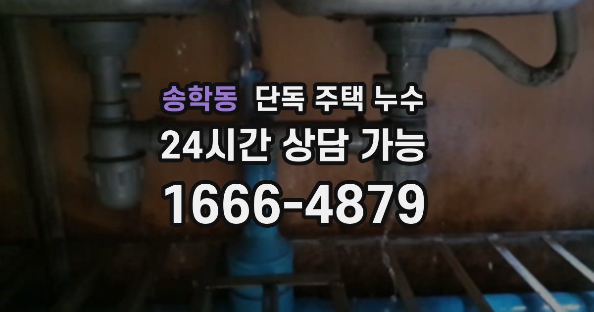 송학동 단독 주택 누수