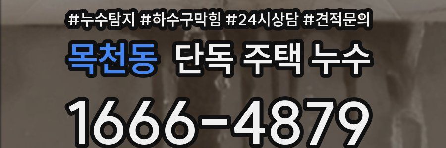 목천동 단독 주택 누수