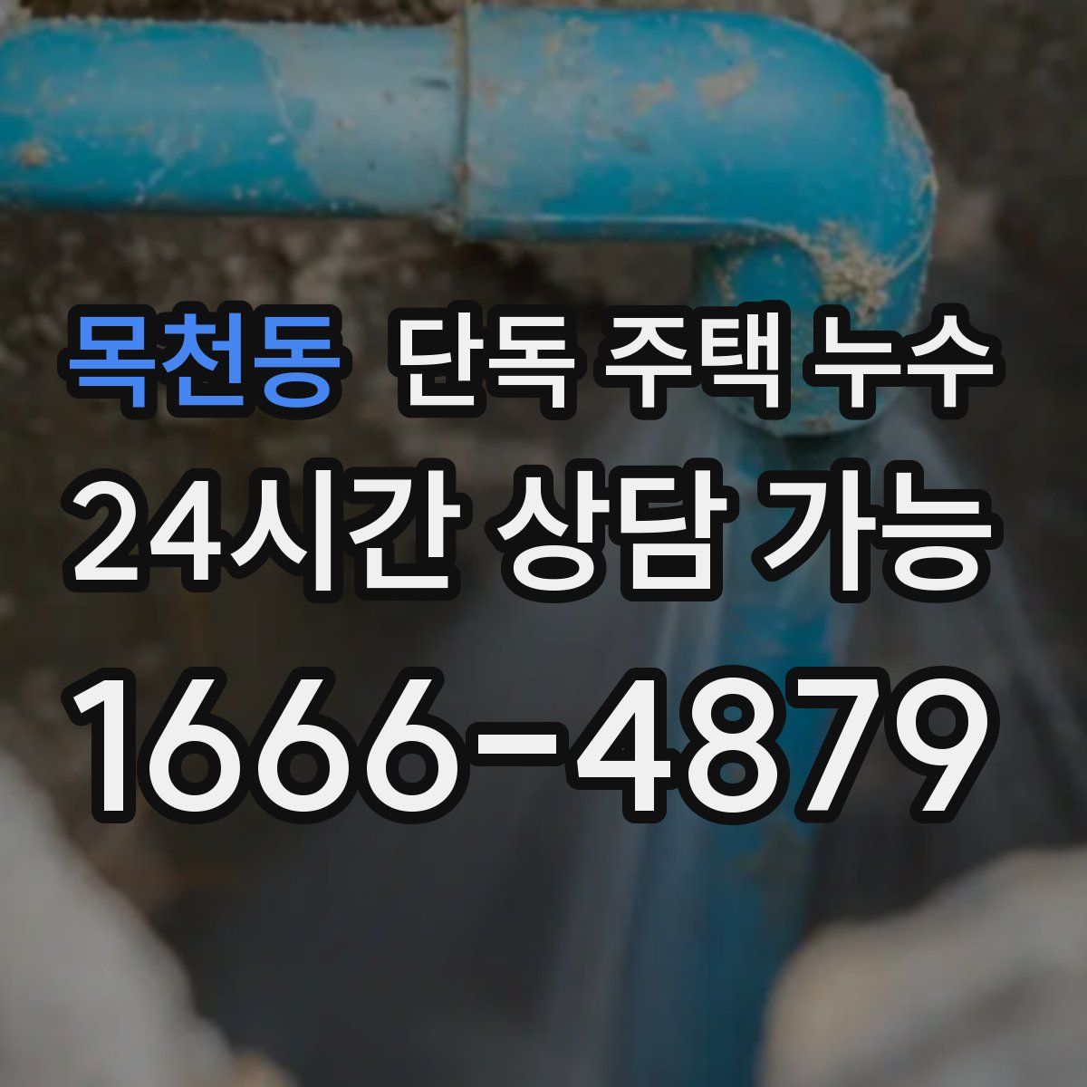 목천동 단독 주택 누수