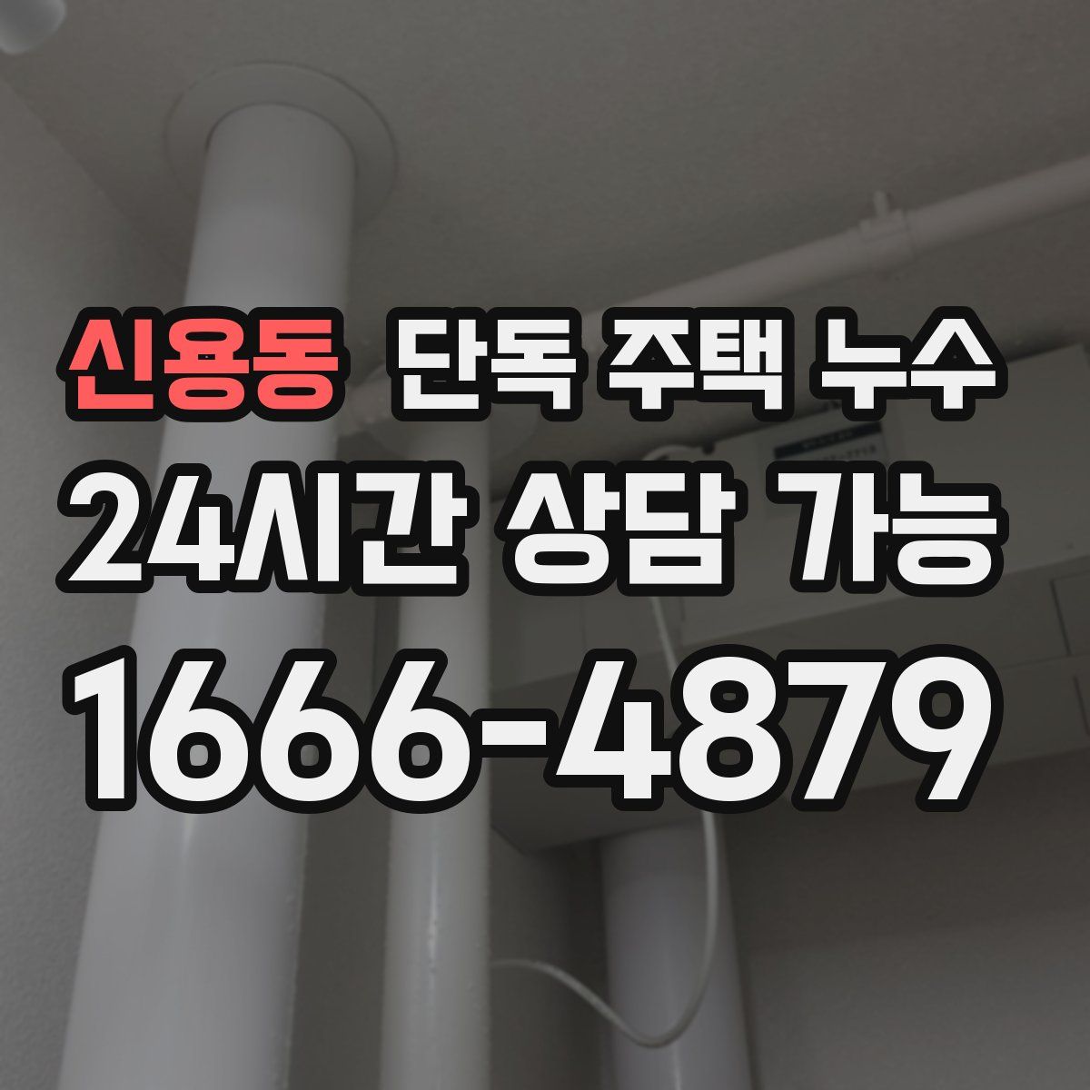 신용동 단독 주택 누수