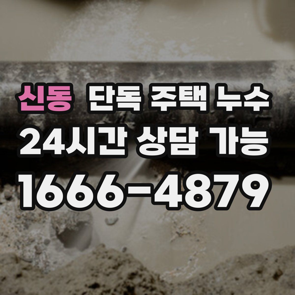 신동 단독 주택 누수