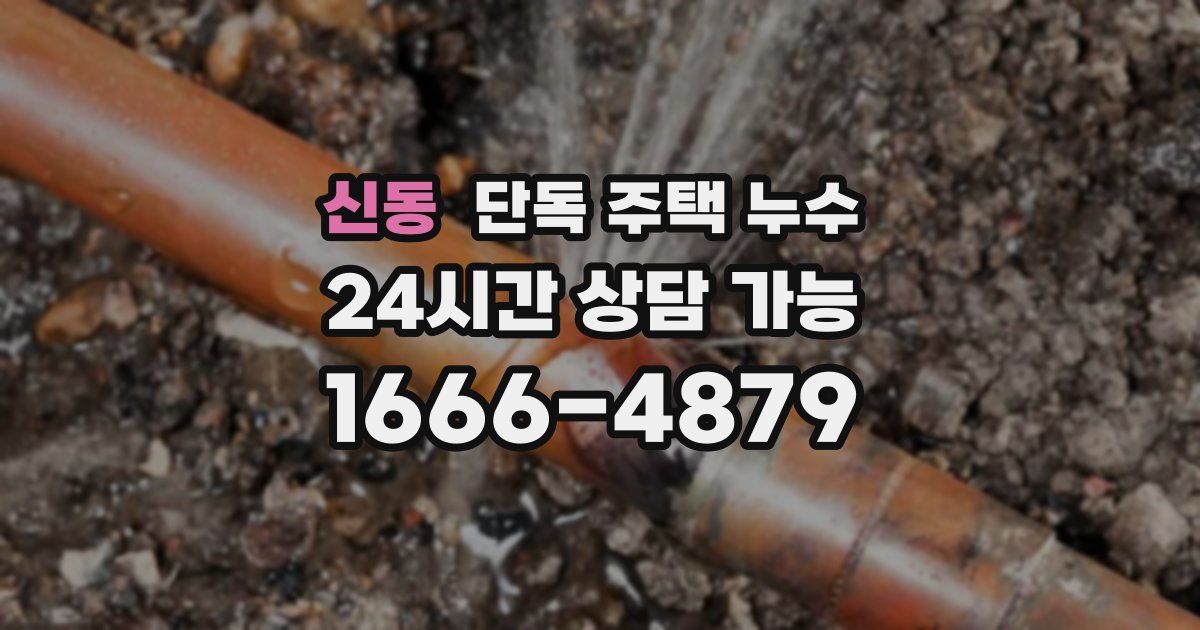 신동 단독 주택 누수