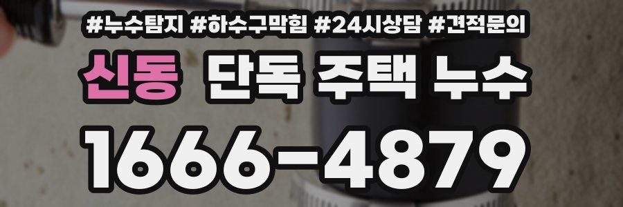 신동 단독 주택 누수