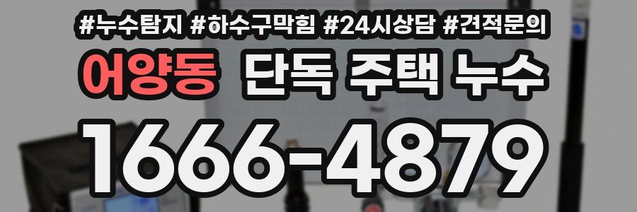 어양동 단독 주택 누수