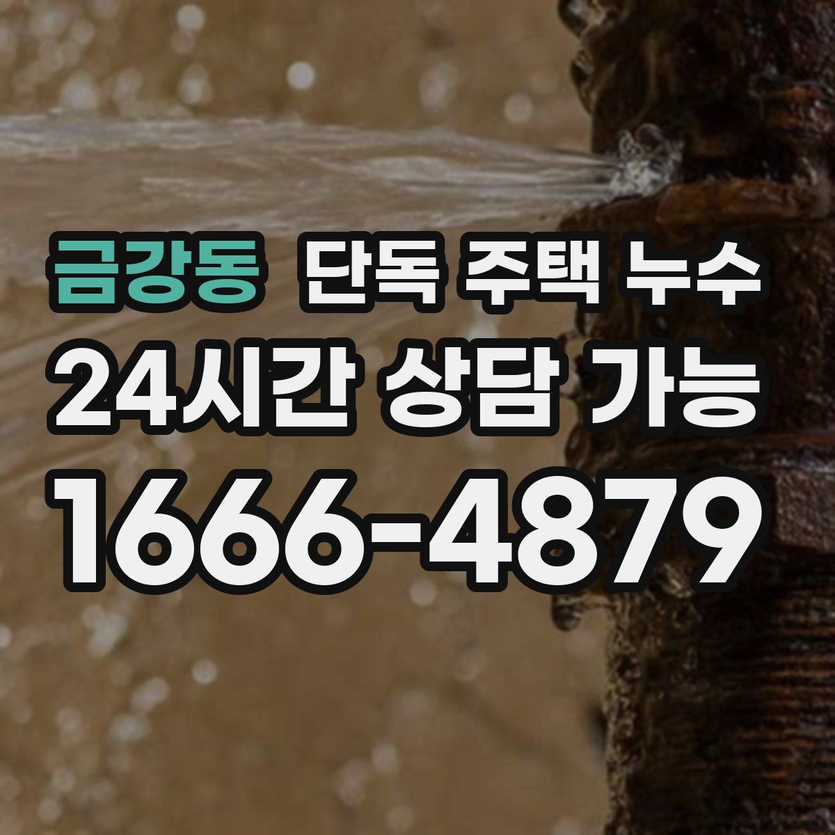 금강동 단독 주택 누수