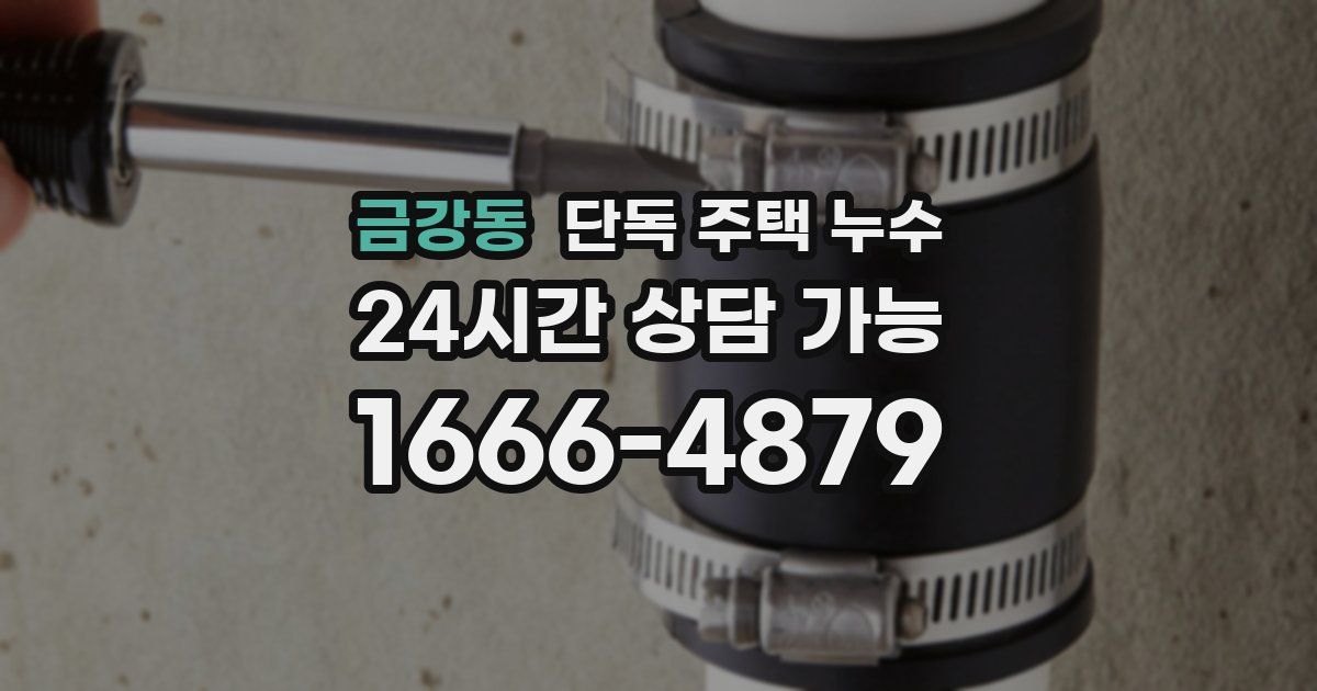 금강동 단독 주택 누수