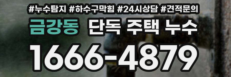 금강동 단독 주택 누수