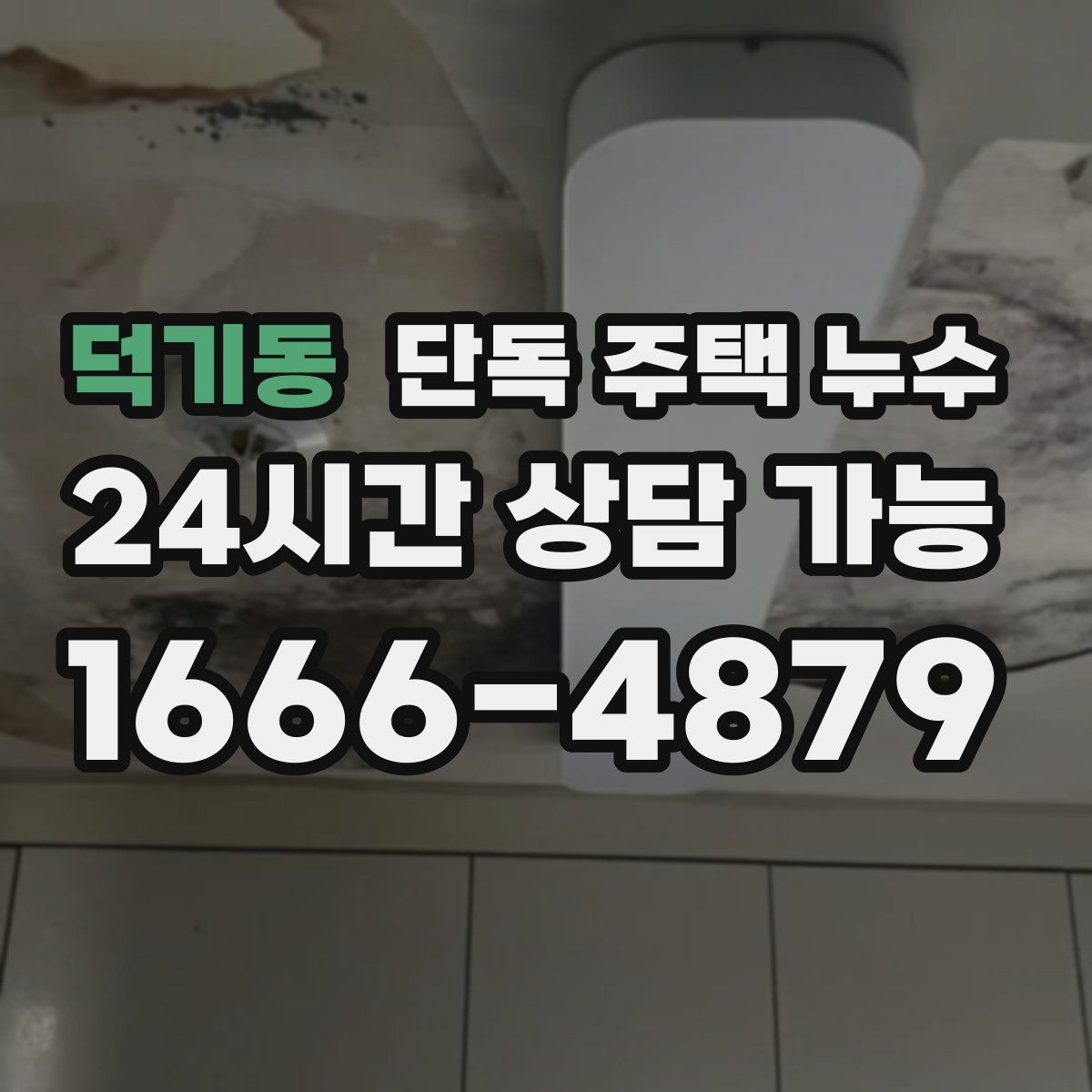덕기동 단독 주택 누수 창고와 본채 연결부에서 새는 경우