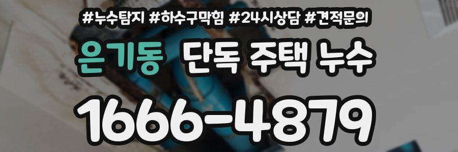 은기동 단독 주택 누수