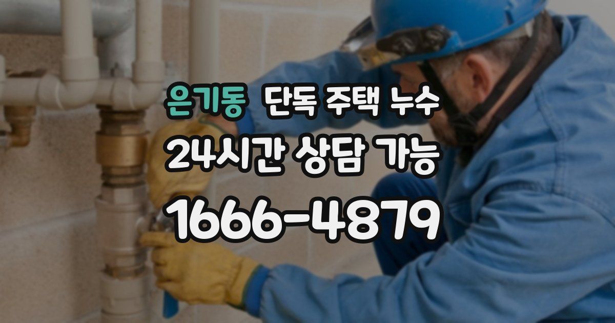 은기동 단독 주택 누수