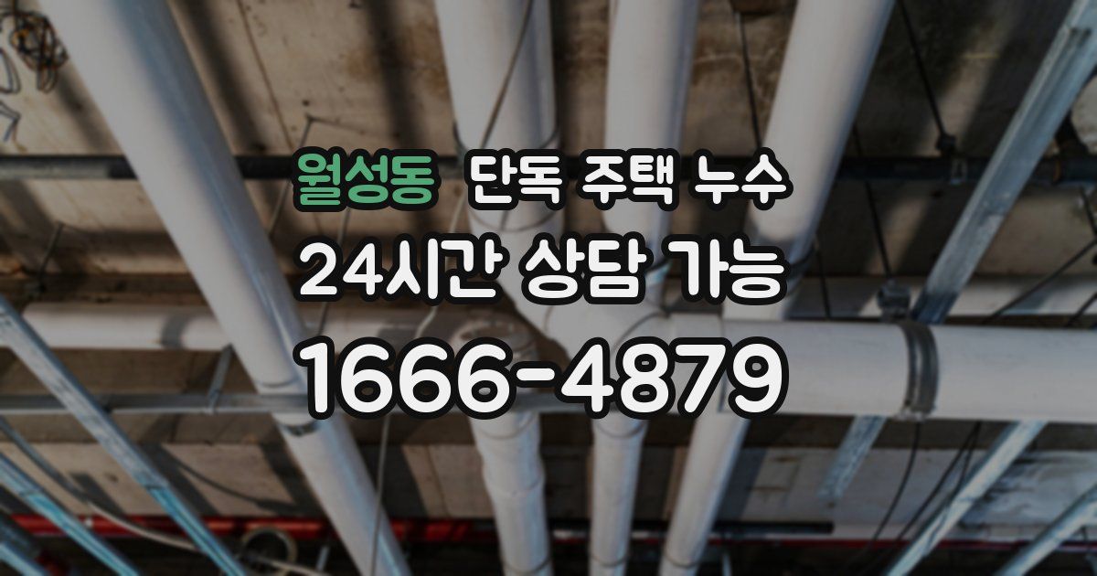 월성동 단독 주택 누수