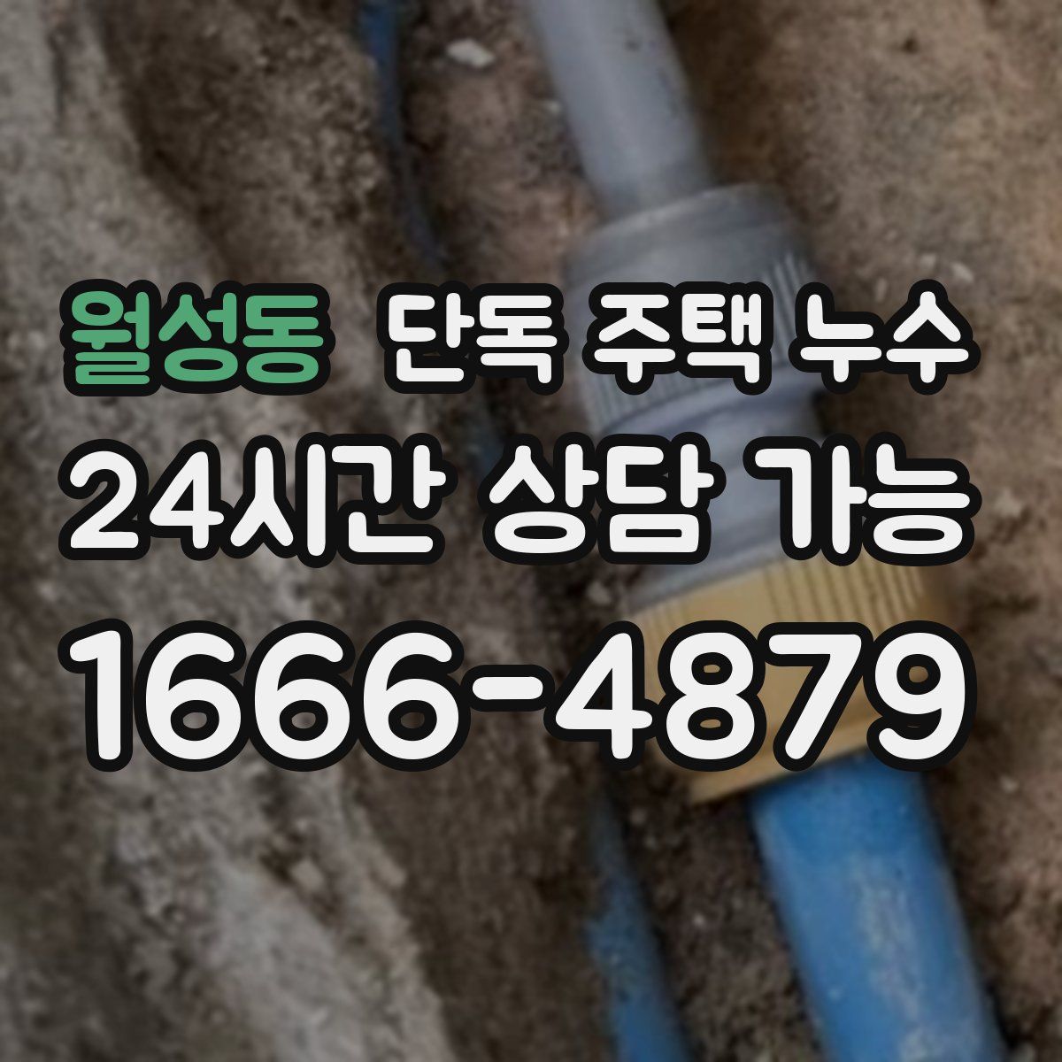 월성동 단독 주택 누수