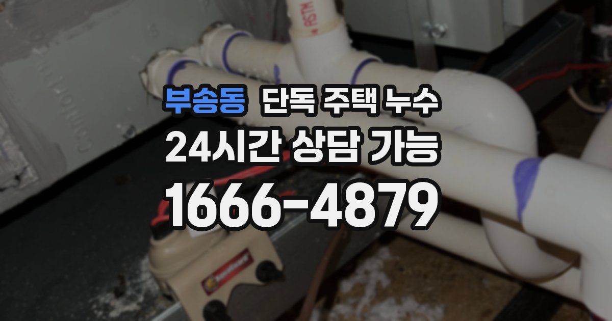 부송동 단독 주택 누수